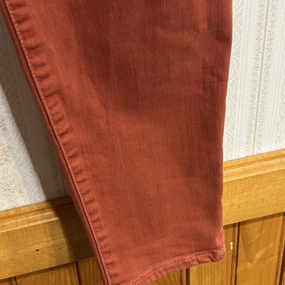 Rust Button-Fly Pants - Picture 3 of 9